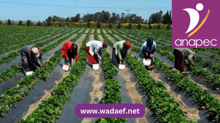 مطلوب 105 وظيفة في المجال الفلاحي بتخصصات متنوعة