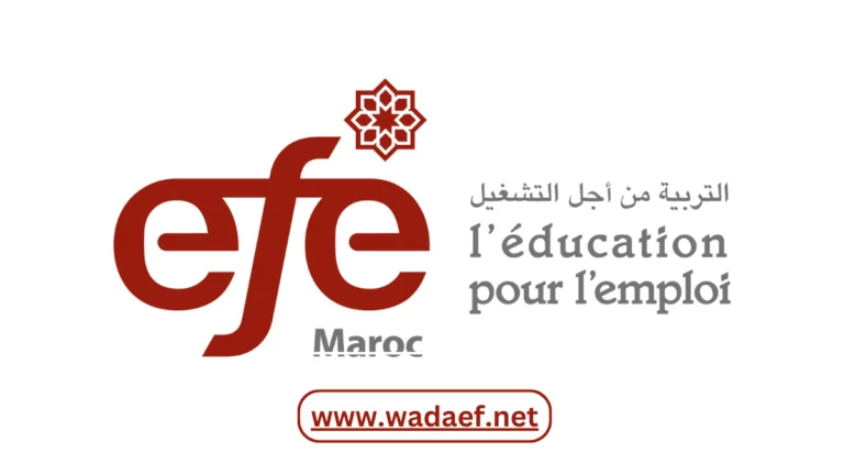 تكوين مجاني بالمجال الرقمي من طرف EFE MAROC تكوين مجاني بالمجال الرقمي من طرف EFE MAROC