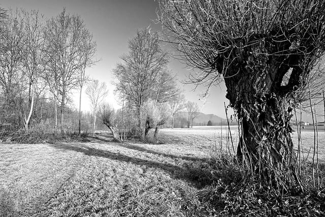 ما هي آثار تغير المناخ؟ ما هي آثار تغير المناخ؟