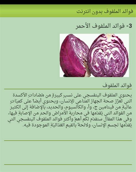 فوائد الكرنب لصحة العظام والجهاز الهضمي فوائد الكرنب لصحة العظام والجهاز الهضمي