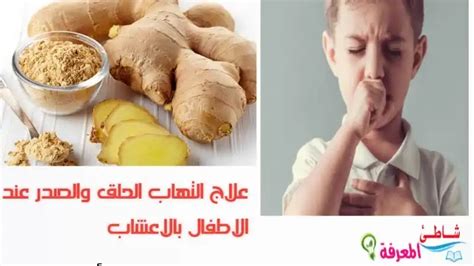علاج التهاب الحلق والصدر بالأعشاب علاج التهاب الحلق والصدر بالأعشاب