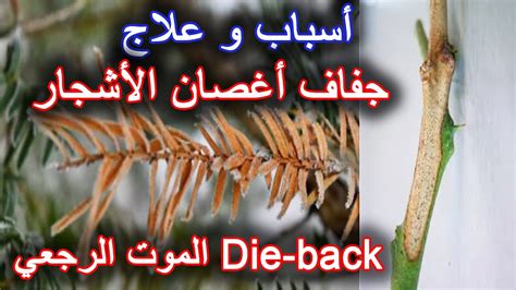 سبب تكسر الأشياء في المنزل سبب تكسر الأشياء في المنزل