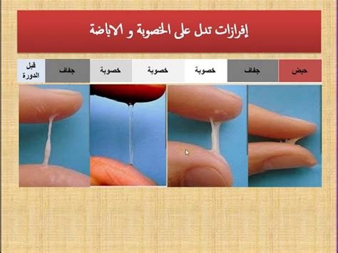 افرازات بنيه بالحمل: كل ما تحتاج لمعرفته