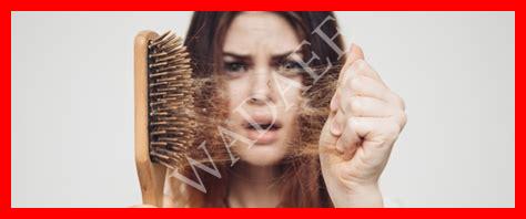 تساقط الشعر في الصيف تساقط الشعر في الصيف