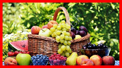 ثمار تزرع في الصيف ثمار تزرع في الصيف