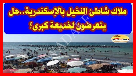 جروب ملاك شاطئ النخيل جروب ملاك شاطئ النخيل