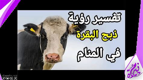 ذبح بقرة في عيد الاضحى ذبح بقرة في عيد الاضحى