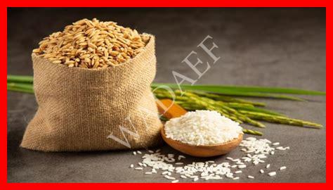 زكاة طن الارز زكاة طن الارز