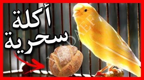 زكاة طيور الزينة زكاة طيور الزينة