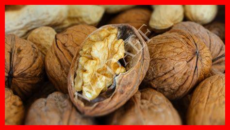 سعر حبة لويز في الجزائر 2023 سعر حبة لويز في الجزائر 2023