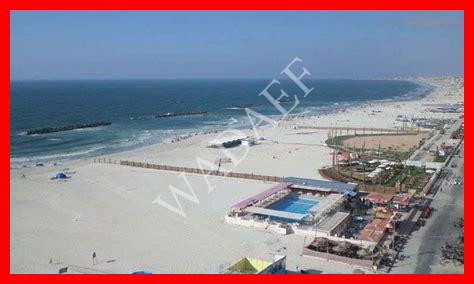 ضحايا شاطئ النخيل ضحايا شاطئ النخيل