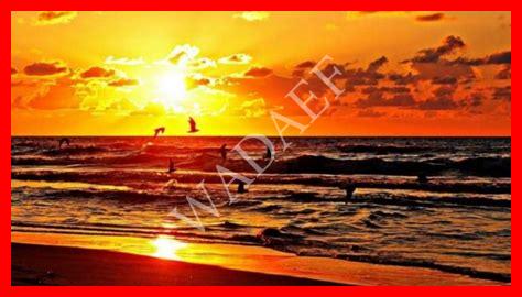 فصل الصيف في دبي فصل الصيف في دبي