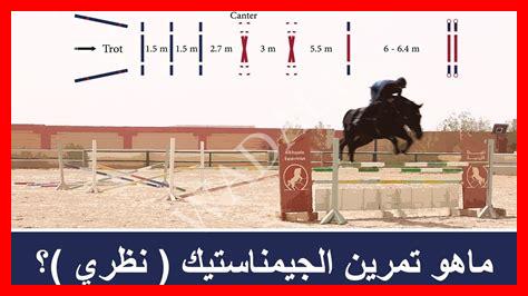 قوانين قفز الحواجز للخيول قوانين قفز الحواجز للخيول