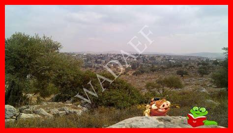 أحد أنواع تنسيقات الصُّور الذي يدعم الرُّسوم المتحرِّكة هو