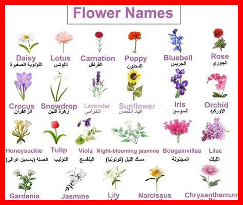 أسماء بنات صينية بالانجليزي أسماء بنات صينية بالانجليزي