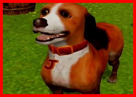 أفضل الألعاب لتسلية الحيوانات الأليفة الصغيرة أفضل الألعاب لتسلية الحيوانات الأليفة الصغيرة