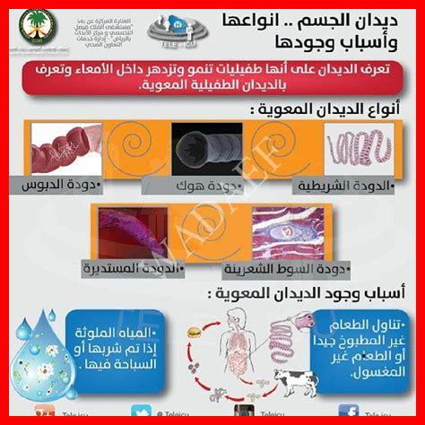 أنواع ديدان البطن