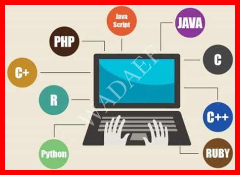 أنواع لغات البرمجة أنواع لغات البرمجة