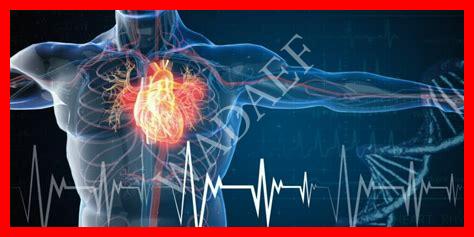 أنواع هبوط القلب أنواع هبوط القلب