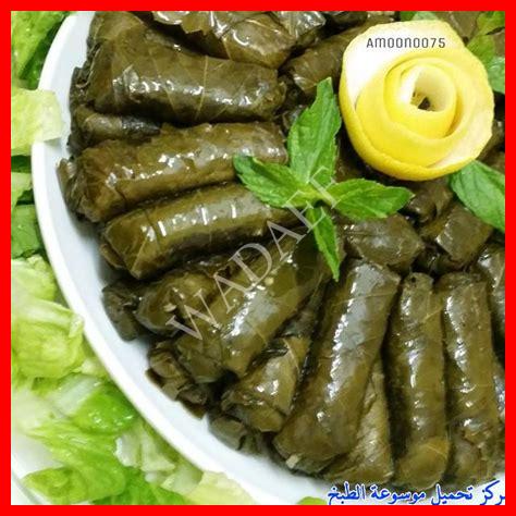 أنواع ورق العنب بالصور أنواع ورق العنب بالصور