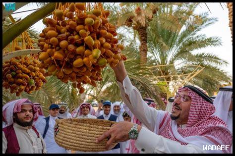 أهمية التمور في الثقافة السعودية