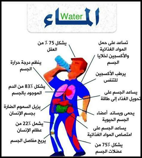 أهمية تناول الماء في إدارة الوزن الزائد
