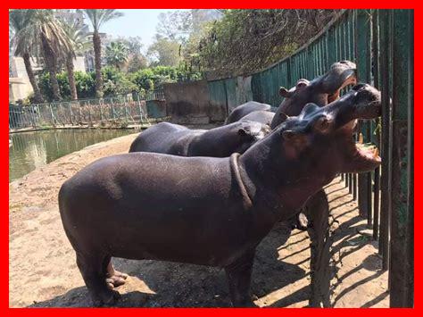 اكبر حديقة حيوان في العالم اكبر حديقة حيوان في العالم