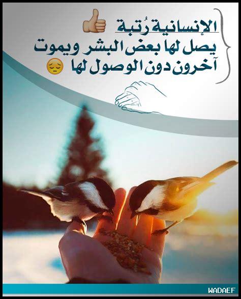 الأعمال التطوعية: مفتاح لبناء العلاقات الإنسانية