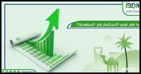 الاستثمار الصناعي في السعودية: فرص وتحديات