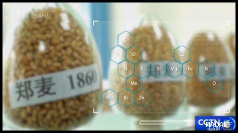 التقنيات الزراعية الحديثة في السعودية