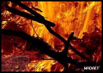 الجنة عرضها كعرض السموات والأرض فأين تكون النار الجنة عرضها كعرض السموات والأرض فأين تكون النار