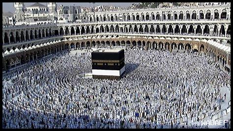 الجنَّةِ قِيعانٌ الدرر السنية الجنَّةِ قِيعانٌ الدرر السنية