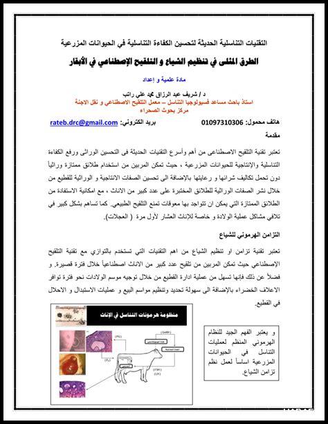 الطرق المثلى لتعزيز الطاقة في النظام النباتي الطرق المثلى لتعزيز الطاقة في النظام النباتي