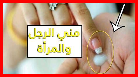 المذي حرام ام حلال المذي حرام ام حلال