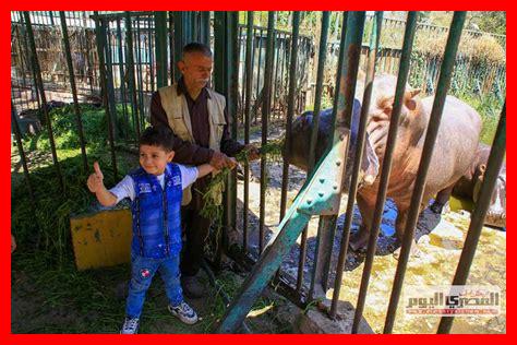 الممثلون في اشترينا حديقة حيوان الممثلون في اشترينا حديقة حيوان