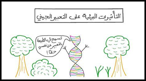 تأثير البيئة على سلوك الأولاد