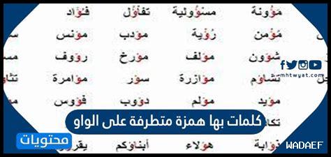 ثلاث كلمات تنتهي بهمزة متطرفة على الألف