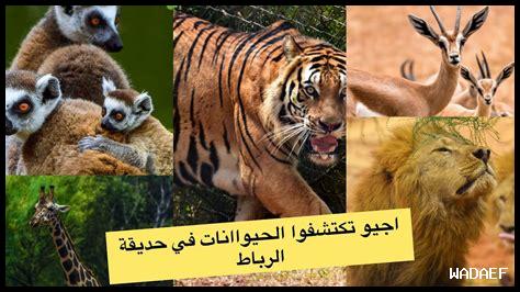 ثمن دخول حديقة الحيوانات بالرباط 2025