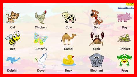 جمل عن حديقة حيوان بالانجليزي جمل عن حديقة حيوان بالانجليزي