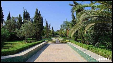 حديقة التجارب النباتية بالرباط حديقة التجارب النباتية بالرباط