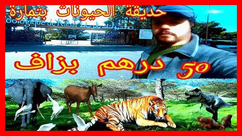 حديقة الدلافين أكادير ثمن الدخول حديقة الدلافين أكادير ثمن الدخول