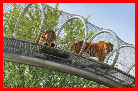 حديقة حيوان شطا حديقة حيوان شطا