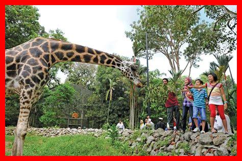 حديقة حيوان قريبة حديقة حيوان قريبة