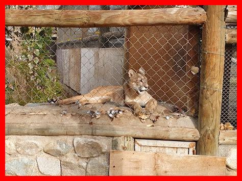 حديقة حيوان نوفا حديقة حيوان نوفا