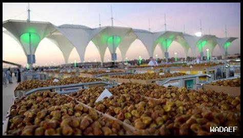 دليل شراء التمور من أسواق السعودية دليل شراء التمور من أسواق السعودية