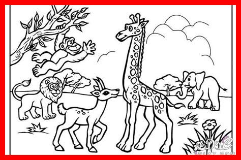 رسمة حديقة حيوان رسمة حديقة حيوان