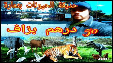 رقم هاتف حديقة الحيوانات بالرباط