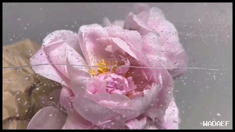 زوجي ضربني ضرب خفيف