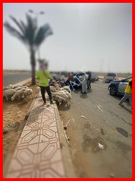 زيادة 40 بالمئة