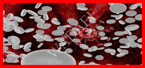 زيادة خلايا الدم البيضاء زيادة خلايا الدم البيضاء